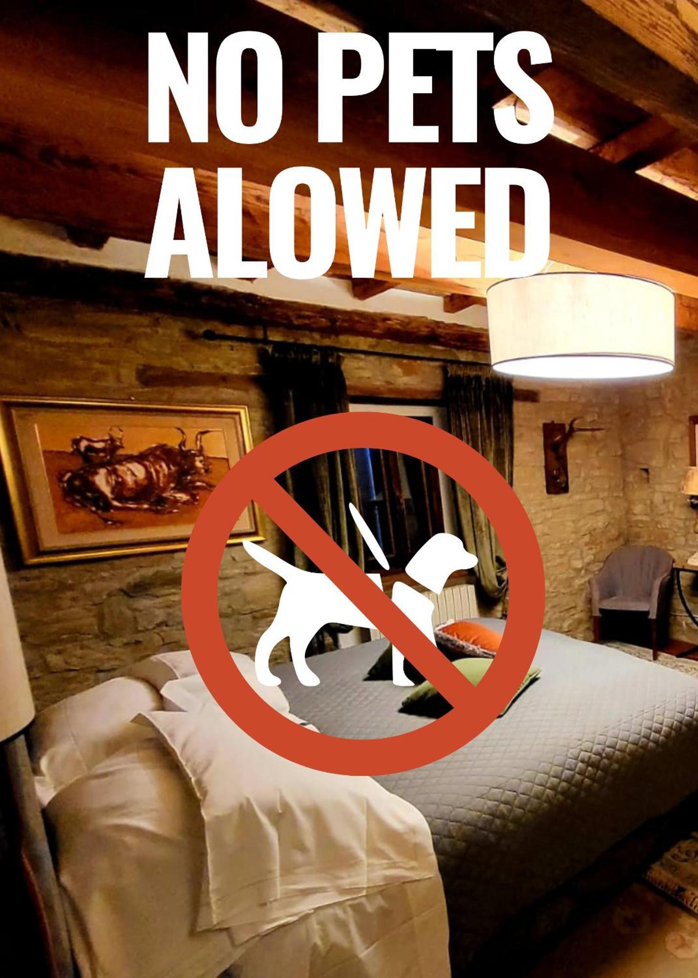 Agriturismo Il Passeggere Bruscoli Ngoại thất bức ảnh